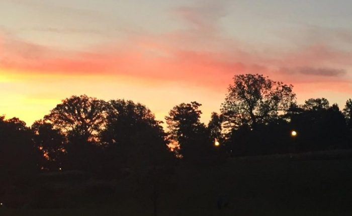 I guess we’ll call it…my “whatever.”